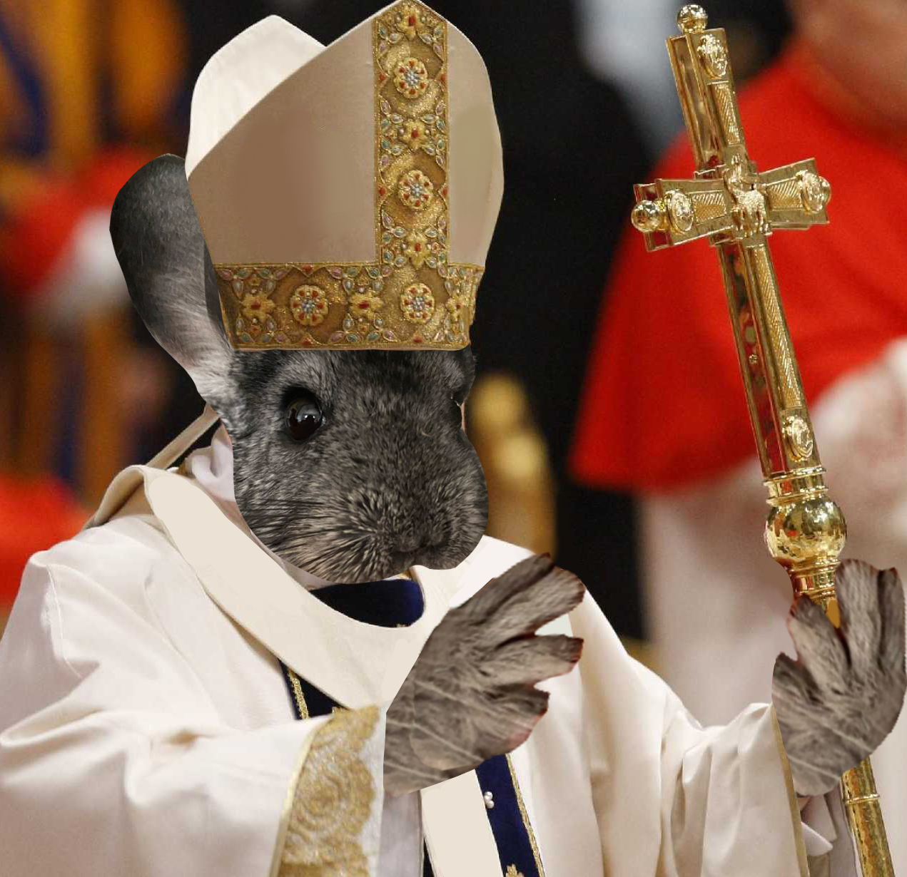 Tim the chinchilla as a Pope